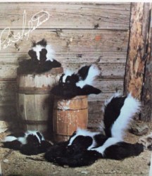 775  REALISTIC CUDDLE BUDDY ''SKUNK'' DOLLS  MOM, BABY PATTERN